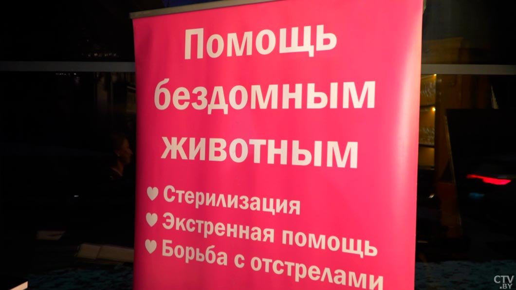 Казалось, надежды нет! История пса Рыжего, которому волонтёры спасли жизнь-6