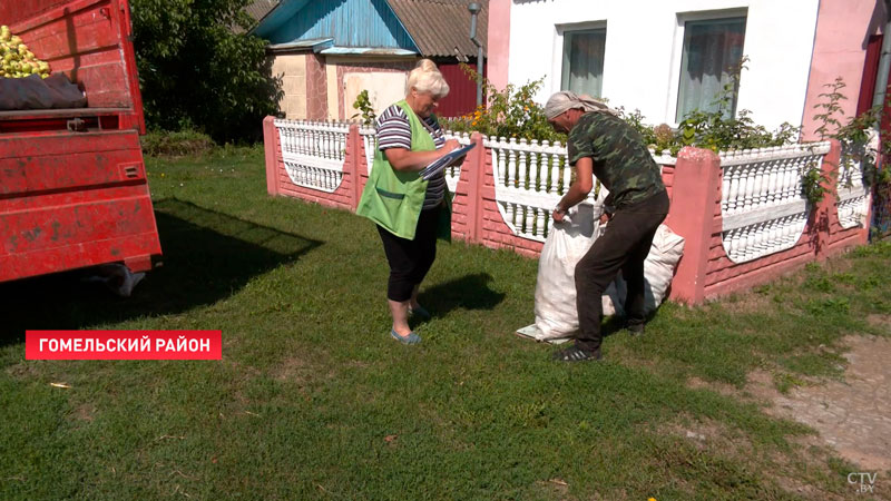 В Гомельской области идёт заготовка яблок. Выезжают даже по заявкам-2