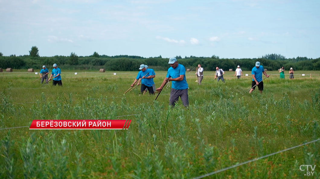 Полесский колорит и свист дедовских кос: как прошел фестиваль «Споровские сенокосы»?-8