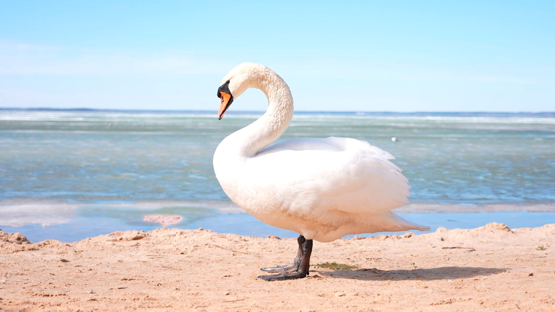 Белорусские санатории взяли курс на расширение – новые объекты появятся во всех регионах
