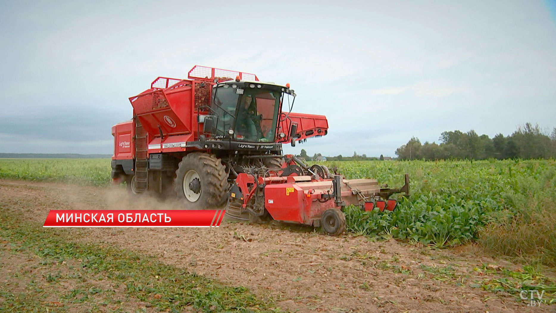Более 1,5 млн тонн свёклы собрали аграрии Минской области-2