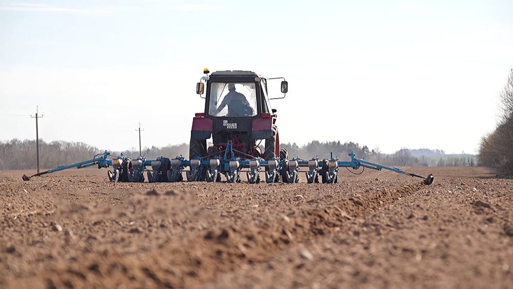 Аграрии Гродненской области начали сев сахарной свеклы – вот как проходит апрель в полях