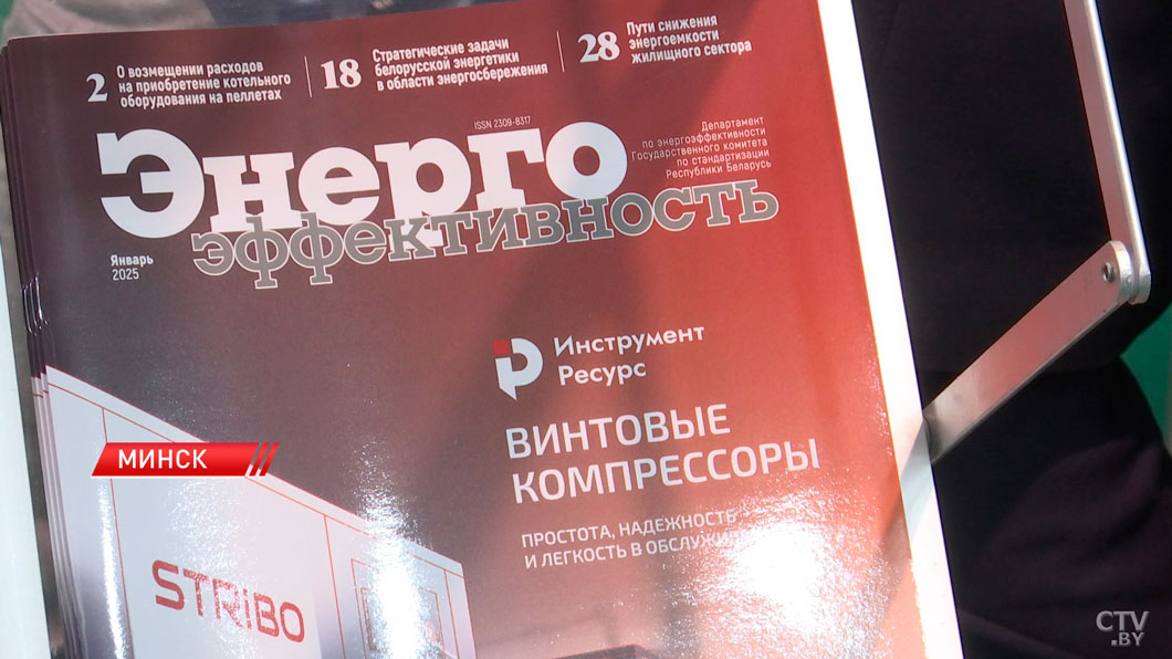 Модель быстровозводимой электрической сети презентовали на энергофоруме в Минске-10