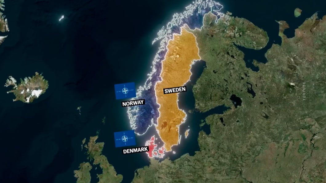 Полгода в НАТО – как шведы выступают против глобального контроля США?-4