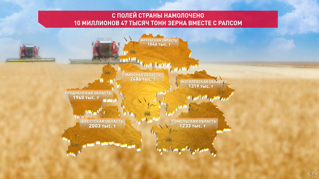 В Беларуси собрано более 10 млн тонн зерна вместе с рапсом и кукурузой-2