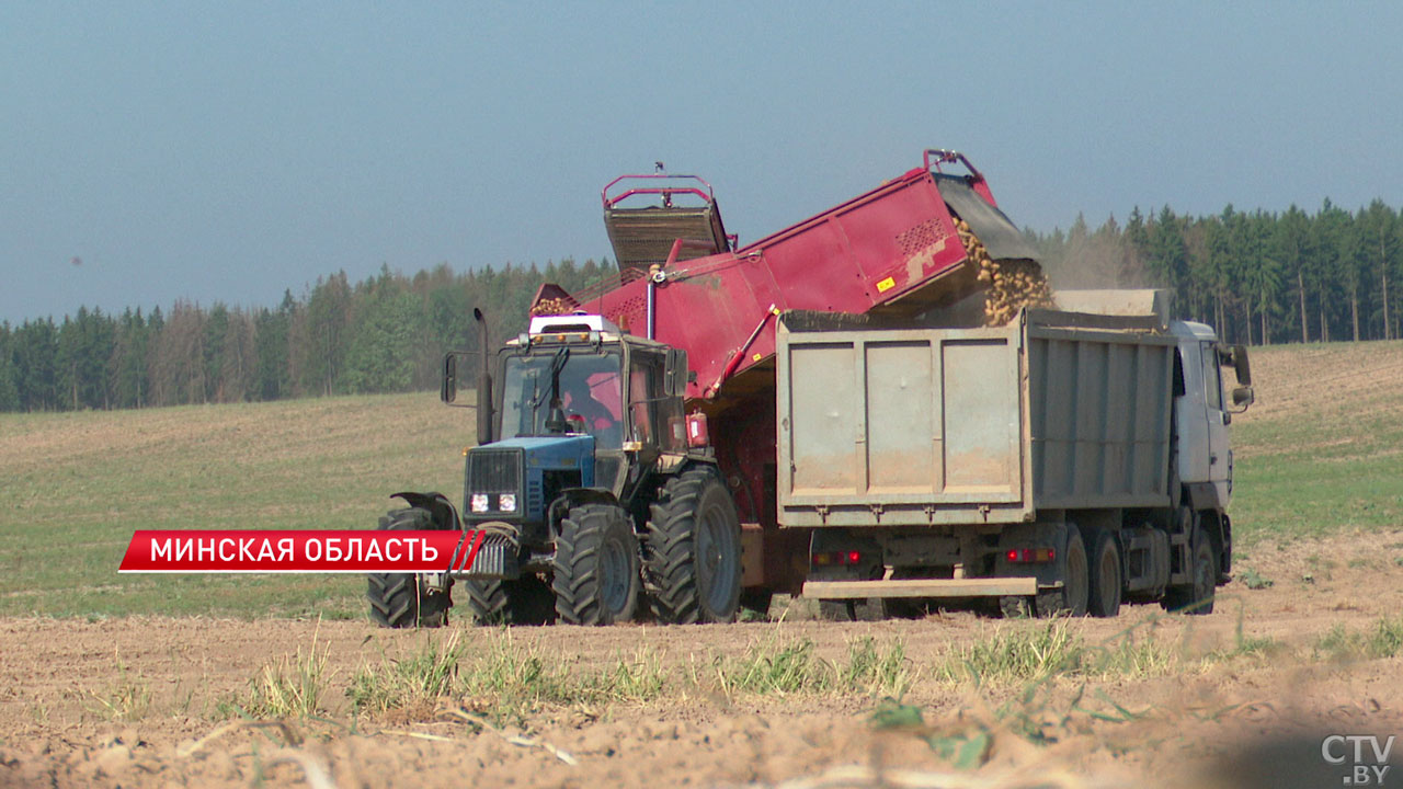 В Минской области завершается сев озимых зерновых культур-2