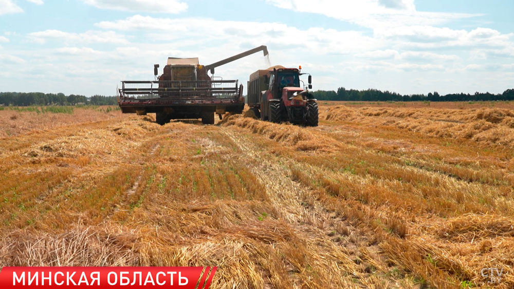 В Беларуси проверяют условия труда аграриев-2