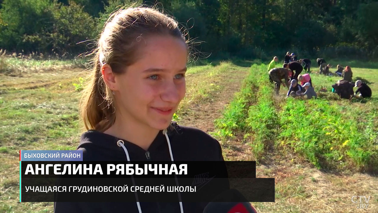 Урожай со школьного огорода – как юные белорусы сами выращивают овощи? Присоединились к трудовому десанту-4