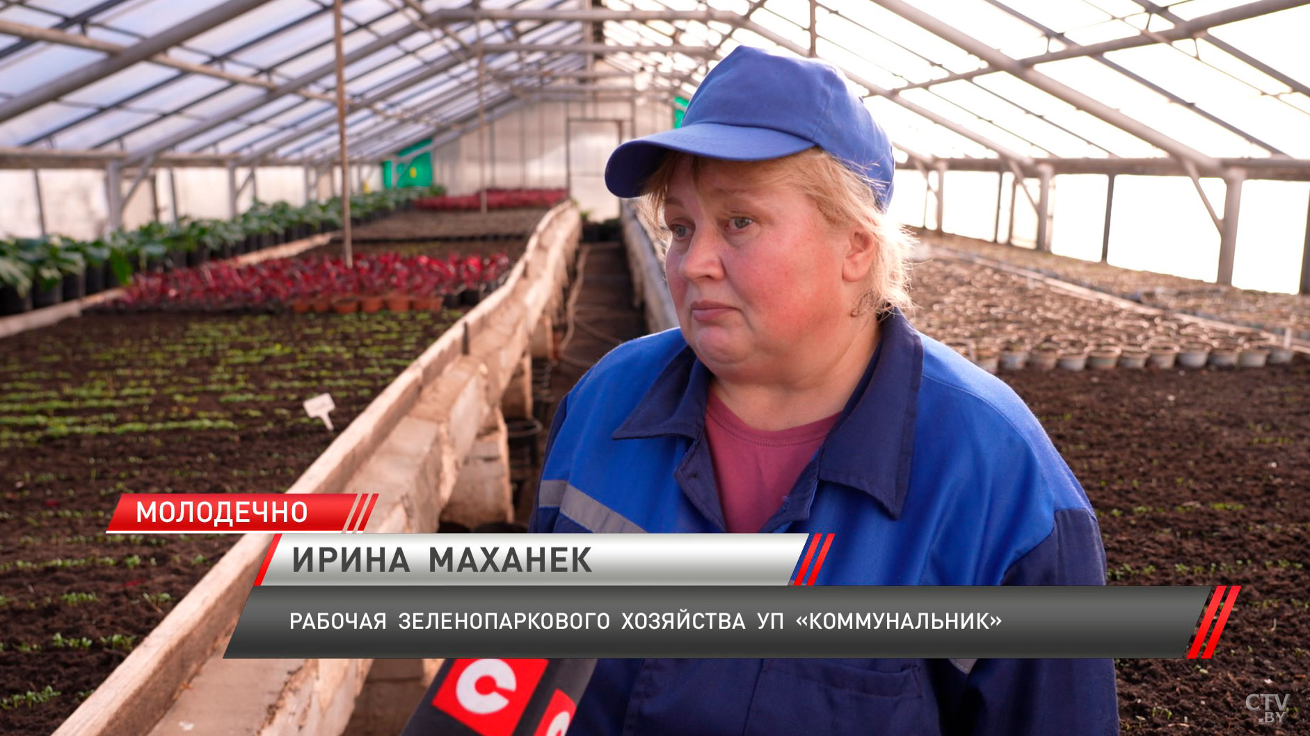3,5 млн цветов высадят в Минской области в 2025 году-4
