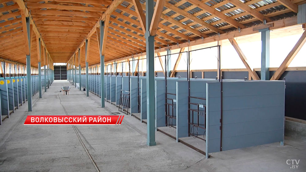 Более 100 профилакториев для телят строят и реконструируют в Гродненской области-2