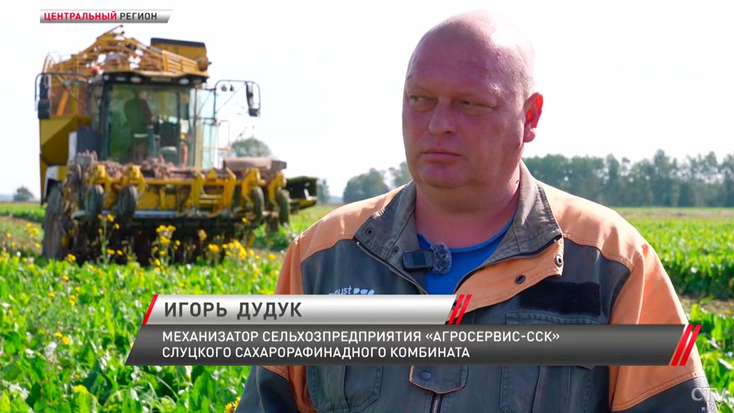 Предстоит освоить 107 тысяч га – как проходит уборка сахарной свёклы в Минской области-4 Предстоит освоить 107 тысяч га – как проходит уборка сахарной свёклы в Минской области-4