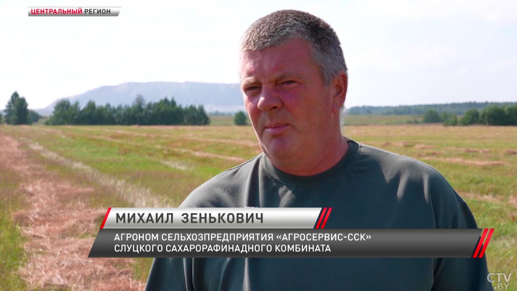Предстоит освоить 107 тысяч га – как проходит уборка сахарной свёклы в Минской области-6 Предстоит освоить 107 тысяч га – как проходит уборка сахарной свёклы в Минской области-6