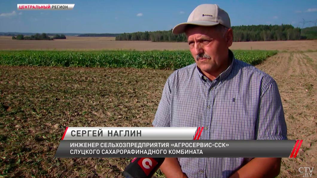 Предстоит освоить 107 тысяч га – как проходит уборка сахарной свёклы в Минской области-10