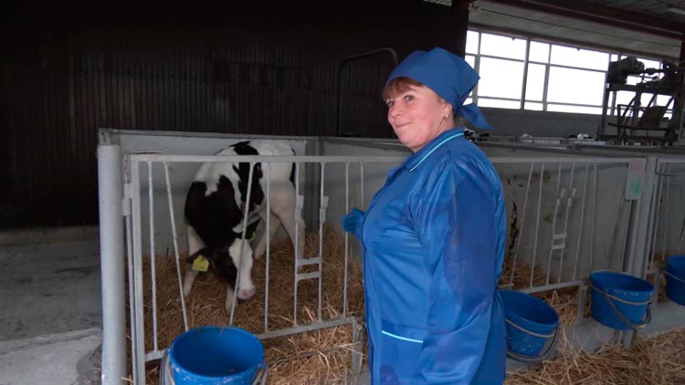 Всегда была в передовиках – за что оператор машинного доения удостоена госнаграды, узнали у замдиректора сельхозпредприятия