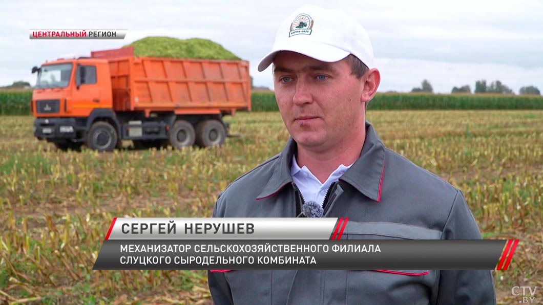 Королева полей – побывали на уборке кукурузы и поговорили с аграриями-6