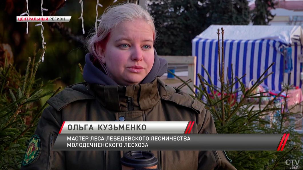 Символ праздника – побывали в лесопитомнике и узнали, как выращивают новогодние ёлки-2