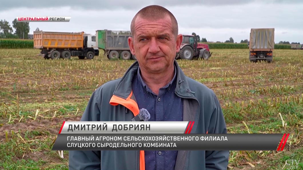Королева полей – побывали на уборке кукурузы и поговорили с аграриями-10