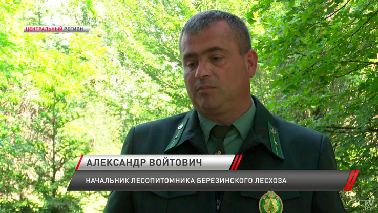 Безопасность и 3-разовое питание – какие условия создают для студотрядовцев на рабочем месте-4
