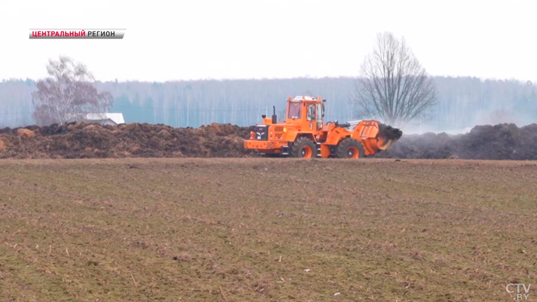 Основа для нового урожая – узнали, как проходит весенняя посевная кампания в Несвижском районе-6