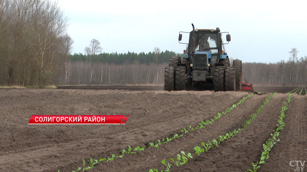 Аграрии Минской области прошли более 50 тысяч гектаров-2