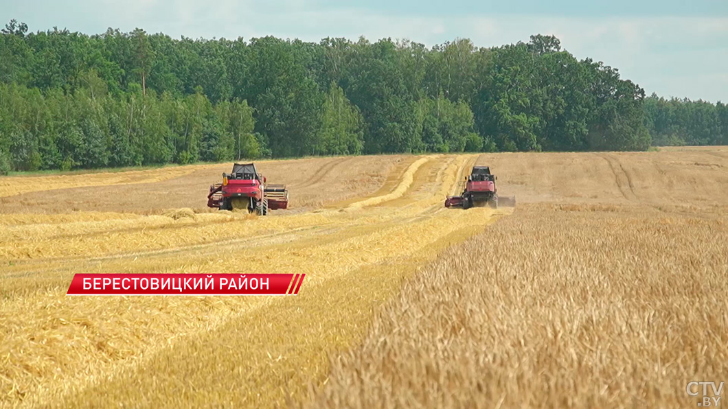 Минсельхозпрод: в Беларуси уже убрано 40% площадей озимого ячменя-2