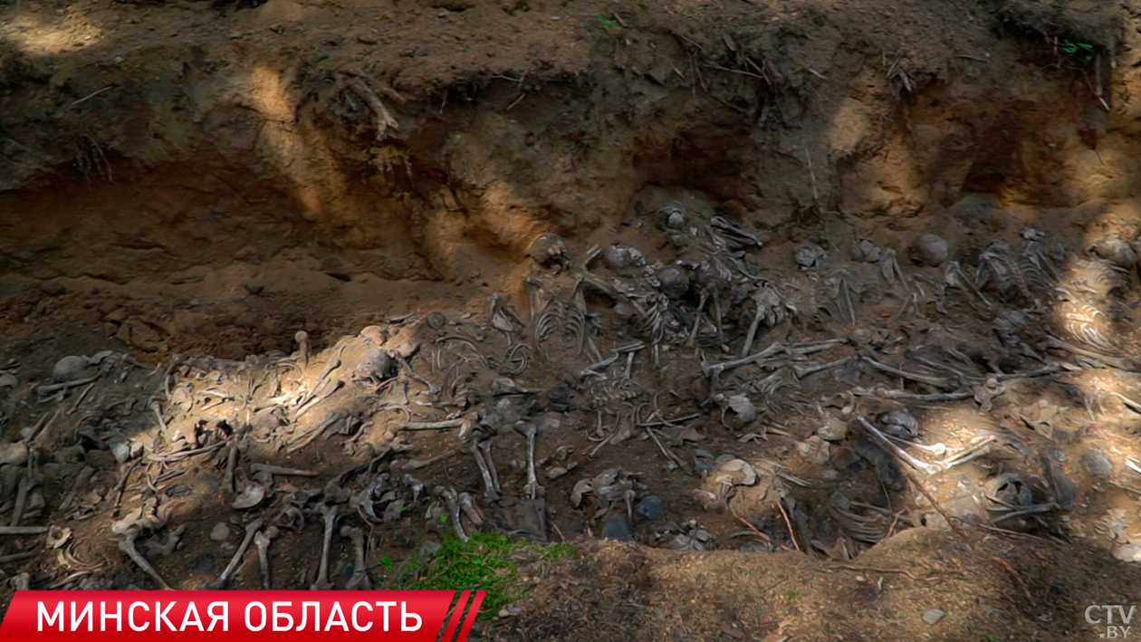 Цифры ужасают! В стране продолжается расследование уголовного дела о геноциде белорусского народа-2 Цифры ужасают! В стране продолжается расследование уголовного дела о геноциде белорусского народа-2