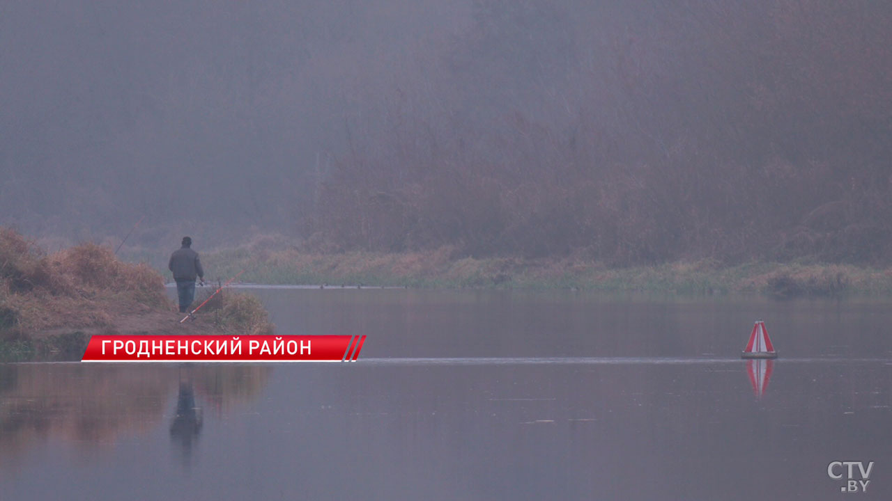 Около 2 тон различных видов рыб пополнили водоёмы Гродненской области в 2024-м-2