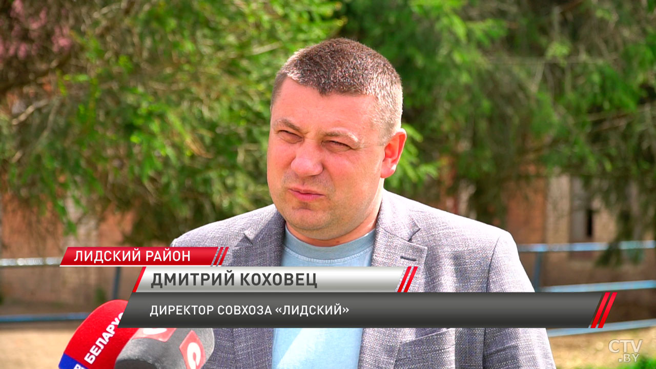 Конефермы Беларуси готовят лошадей к выставке «Белагро»-6 Конефермы Беларуси готовят лошадей к выставке «Белагро»-6