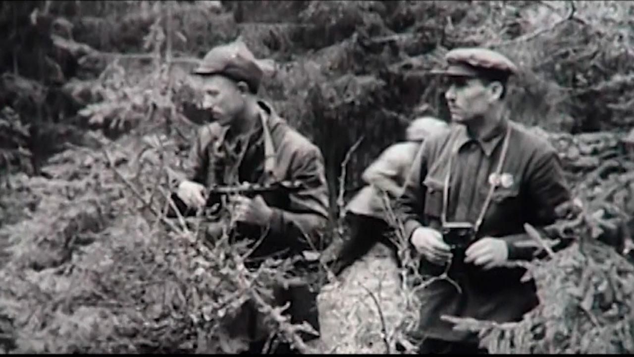 81 год назад – 23 июня 1944-го началась стратегическая наступательная операция «Багратион»-2