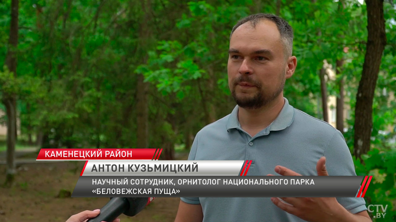 В Беловежской пуще строят Международный научно-исследовательский центр изучения дикой природы-4