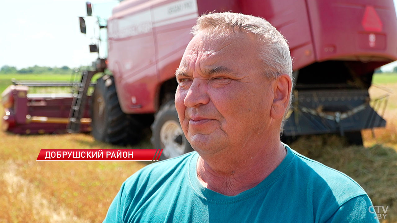 Сельхозпредприятия Гомельской области приступили к уборке зерновых-8