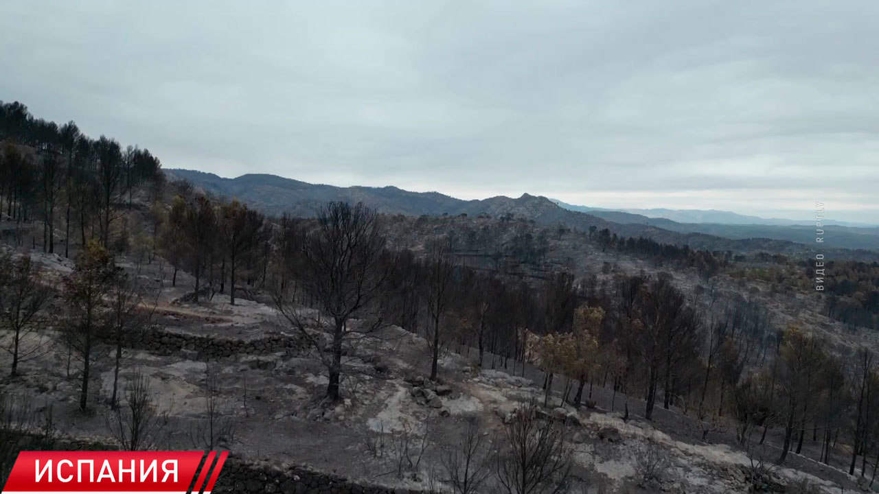 Более 18 тысяч человек оказались в изоляции из-за лесных пожаров в Каталонии Более 18 тысяч человек оказались в изоляции из-за лесных пожаров в Каталонии