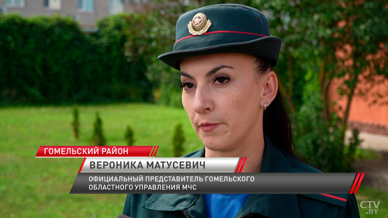 В Беларуси за сутки в лесах потерялись три человека-6