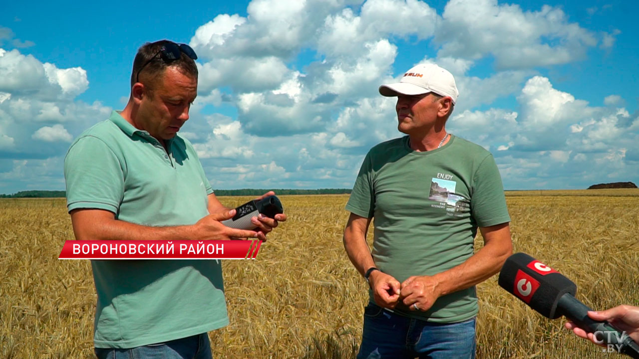 Аграрии в боевом настрое! Как проходит жатва в Беларуси?-2