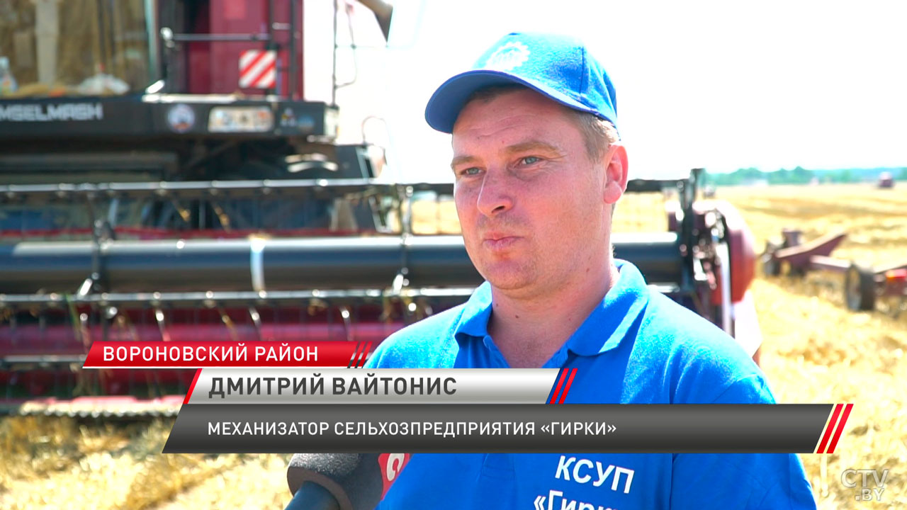 Аграрии в боевом настрое! Как проходит жатва в Беларуси?-6