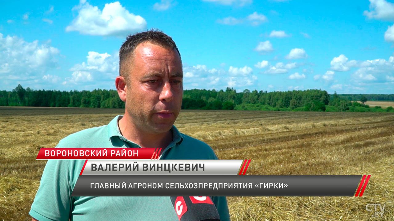 Аграрии в боевом настрое! Как проходит жатва в Беларуси?-12