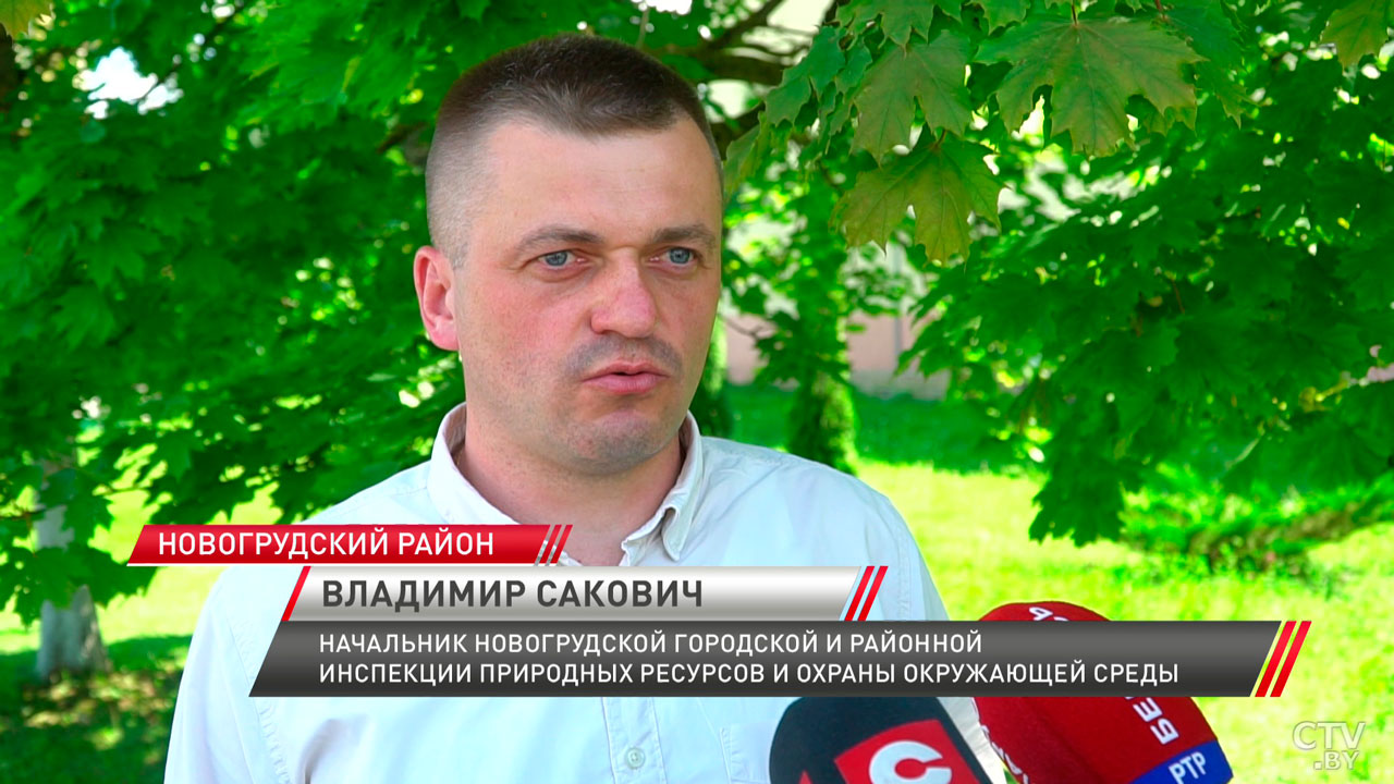 В Новогрудском районе отходы с фермы привели к гибели рыбы в реке Ятранка-4