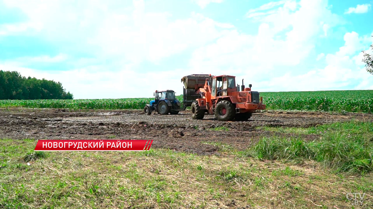 В Новогрудском районе отходы с фермы привели к гибели рыбы в реке Ятранка-2