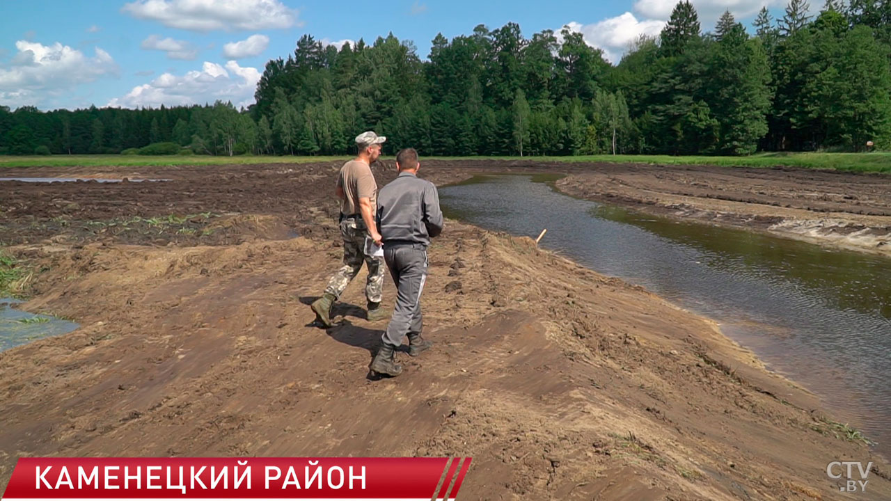 В Беловежской пуще реализуют пилотный проект по восстановлению гидрологического режима реки-2