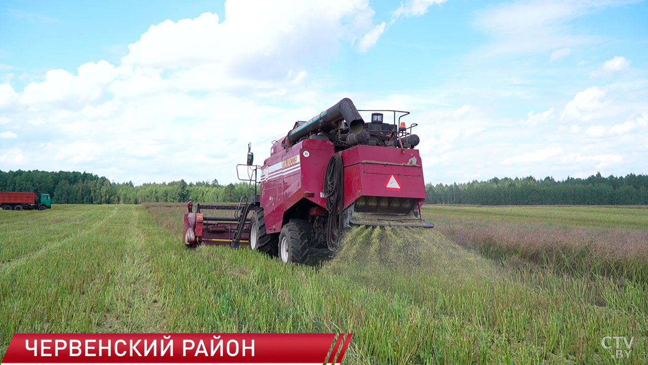 Аграрии Минской области приближаются к полумиллионному рубежу по намолоту-6