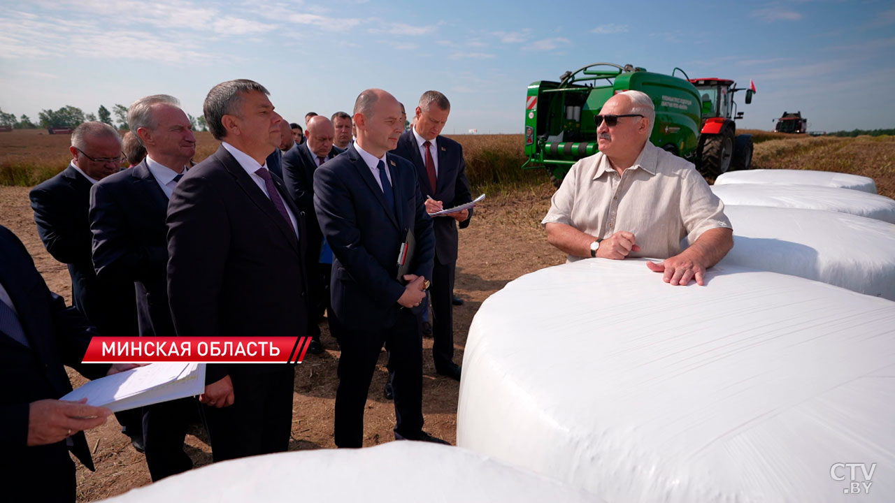 Рапсовое масло улучшает память! Косинец назвал ещё больше полезных свойств-2