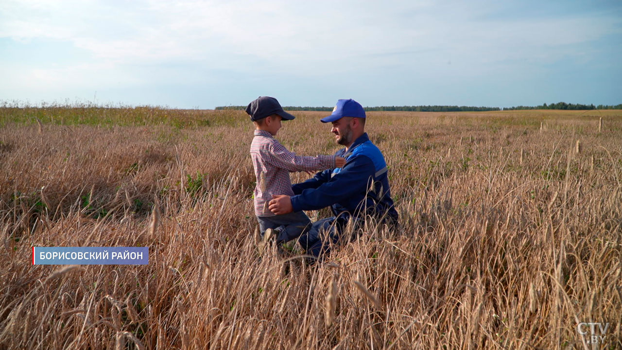 В Беларуси собрано около 8,5 млн тонн зерна – как проходит жатва?-6