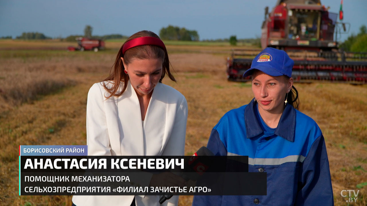 В Беларуси собрано около 8,5 млн тонн зерна – как проходит жатва?-12