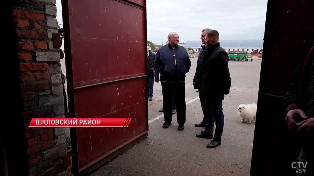 «Порядка здесь нет» – Лукашенко показали бокс механизатора в Шкловском районе-8