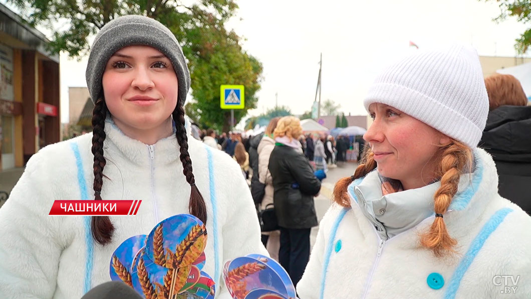 Народные песни, колоритные костюмы и богатые торговые ряды – в Чашниках отметили «Дожинки»-10