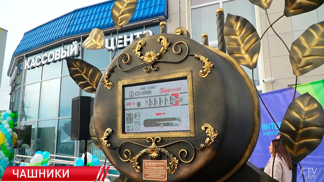 Народные песни, колоритные костюмы и богатые торговые ряды – в Чашниках отметили «Дожинки»-8