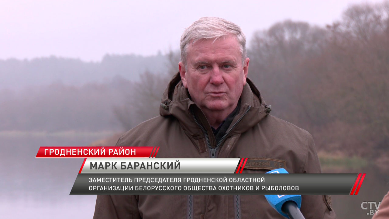 Около 2 тон различных видов рыб пополнили водоёмы Гродненской области в 2024-м-4