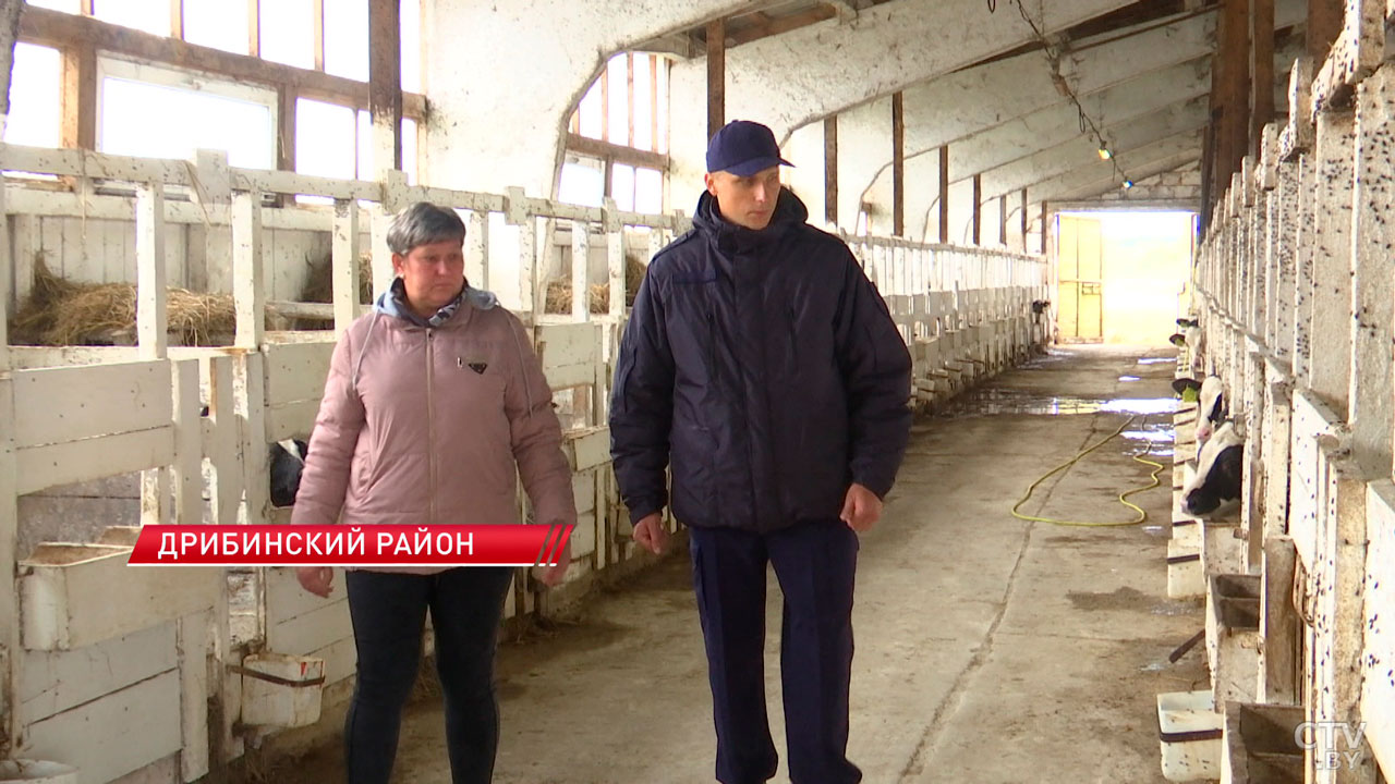 Прокуратура бьёт тревогу! В Могилёвской области выявили 542 нарушения в сфере животноводства-6