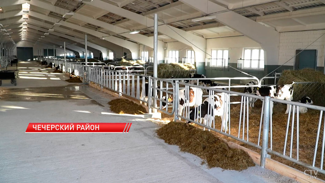 Новую молочно-товарную ферму открыли в Чечерском районе-8