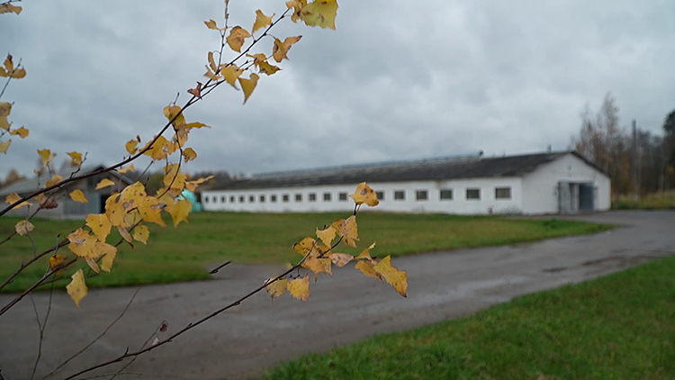 Как выполняются поручения Президента по наведению порядка в Витебской области, рассказал Игорь Сергеенко